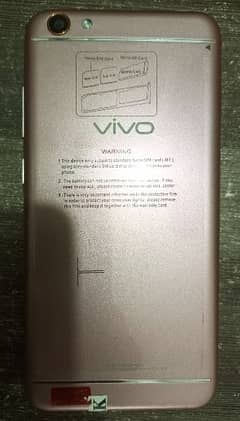 Vivo