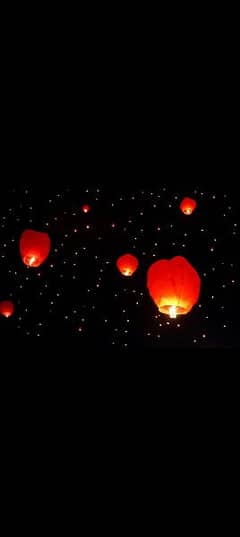 Sky Lanterns , Color Smoke , Teddy Bear Available in economical price