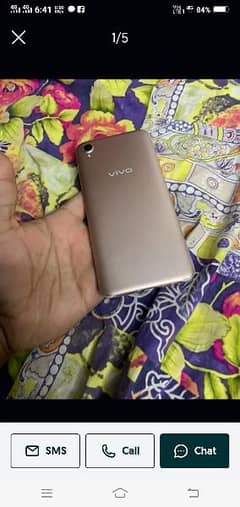 vivo