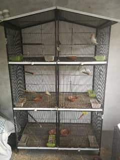 6 Porction fully angle cage for Sale