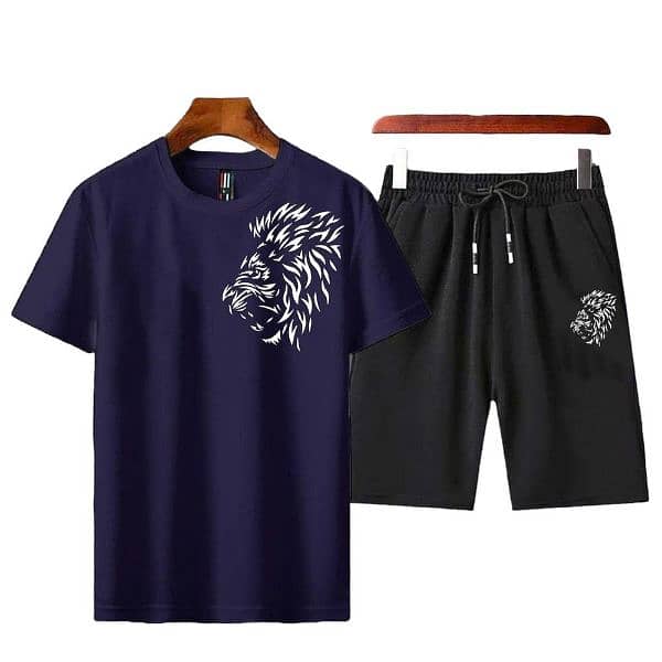 2 PCs  Men's  polyester printed T- shirt and shorts 2