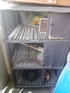 birds cage