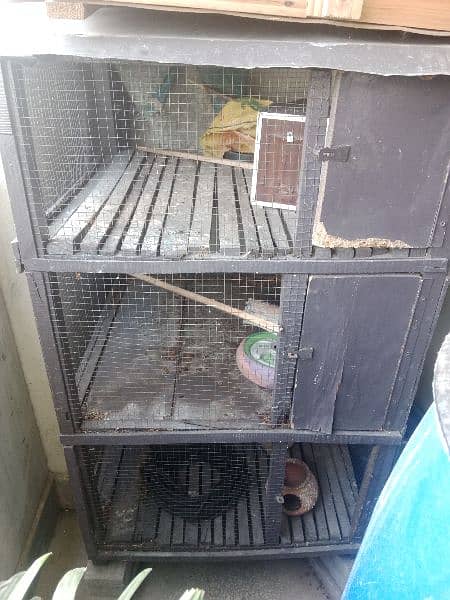 birds cage 1