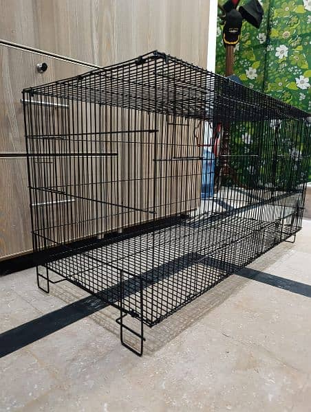 bird cage 4