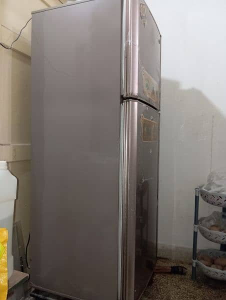 PEL LARGE SIZE FRIDGE 4