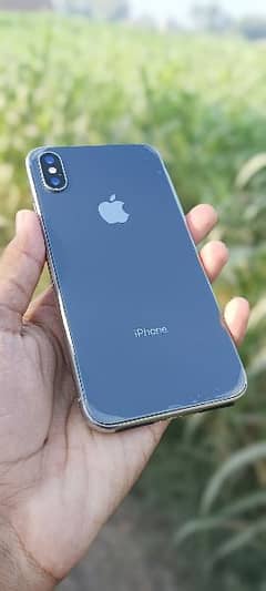 iphone x nono pta