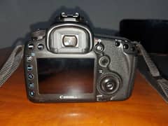 canon 5dsr body