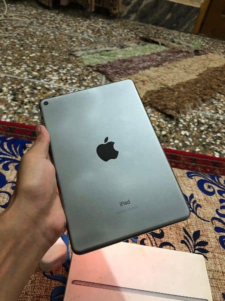 Ipad Mini 5 64gb 84% Battery health 6