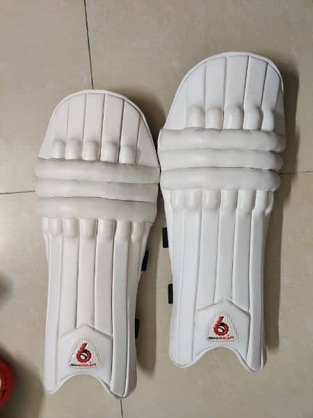 6 gear cricket kit (not complete because company don't send full kit) 7