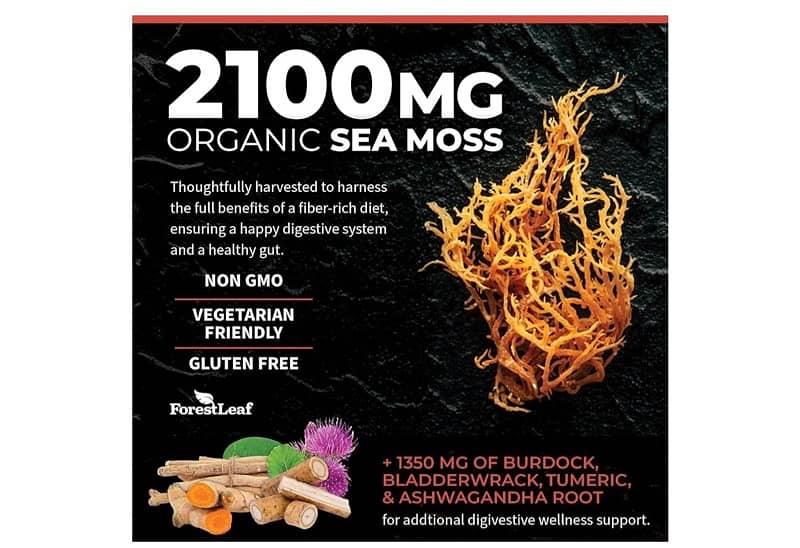 ForestLeaf Organic Irish Sea Moss - 2100mg with Bladderwrack 3