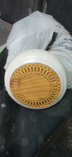 Aesco Company Gujrat Fan AC DC Invertor 30 Watts genuine 30 watt alham 0