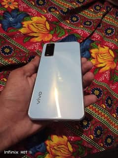 vivo