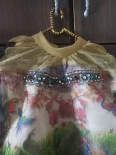 Silk maxi n Organza Dress