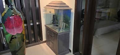 Fish Aquarium 3ft X 15inches with cabinet