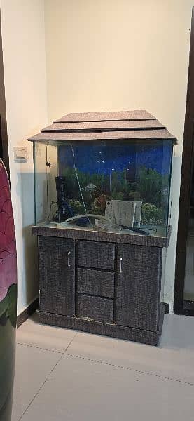 Fish Aquarium 3ft X 15inches with cabinet 3