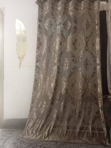 urgent sale curtains 5