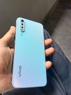 vivo