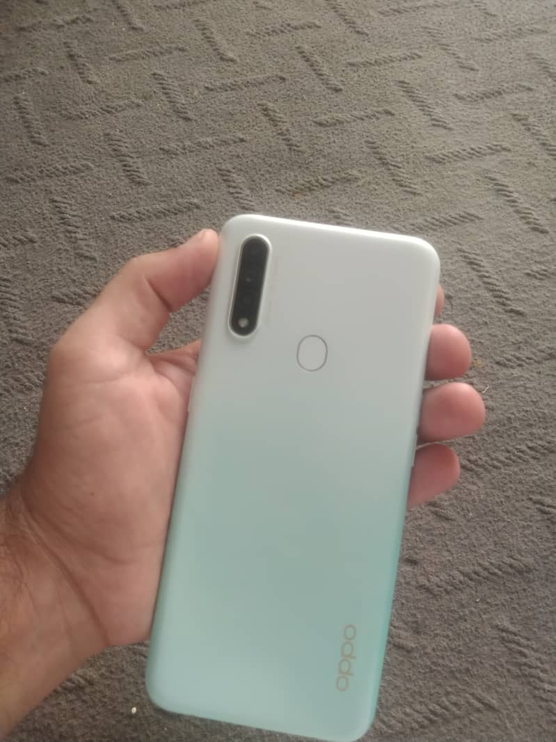 Oppo A31 1