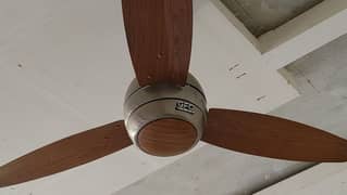 GFC ceilling fan 220 volt