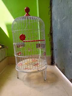 Parrot Pinjra (Cage)