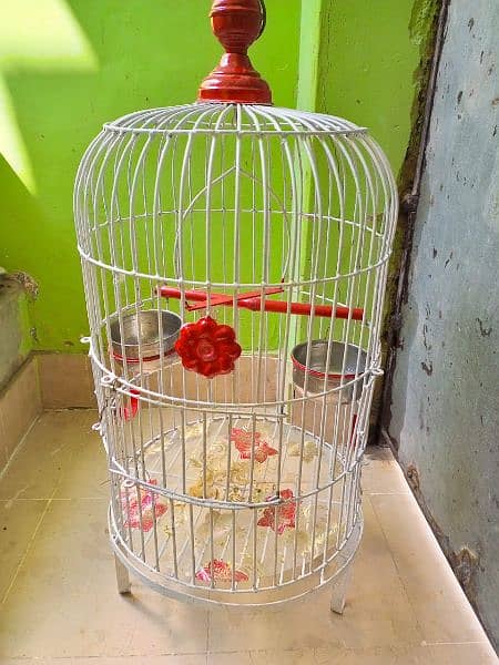 Parrot Pinjra (Cage) 3