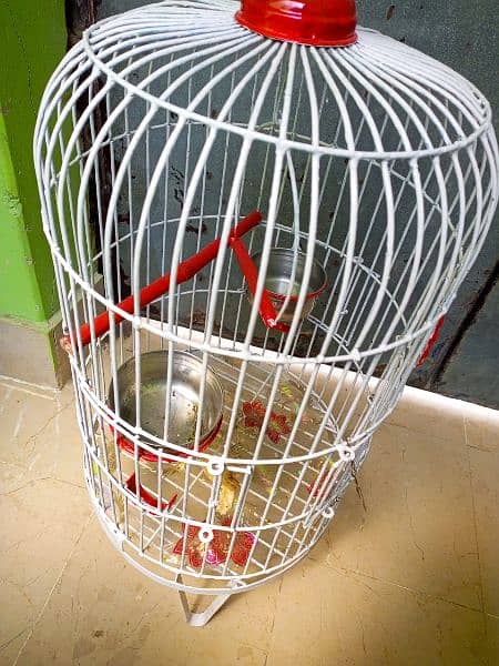 Parrot Pinjra (Cage) 4