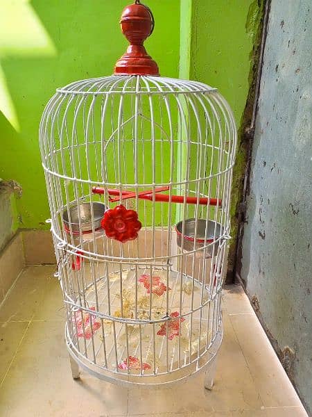 Parrot Pinjra (Cage) 5