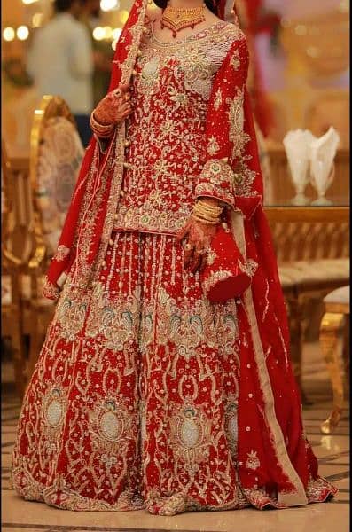 Bridal lehnga/dress 1