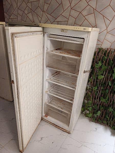 Vertical freezer with lock 2