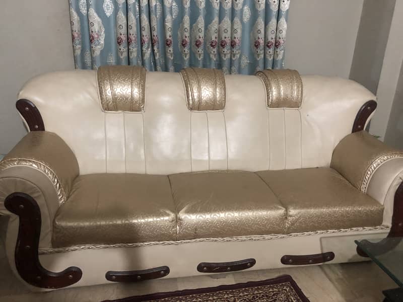 Fancy sofa for drawing room 2