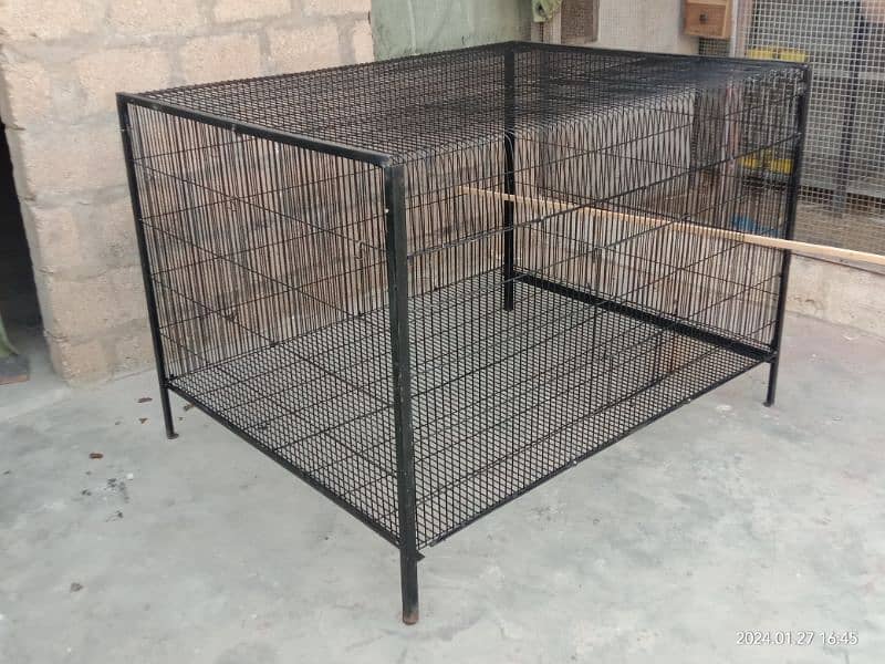 Cage Hen Folding galvanised 10 guage wire for 10 hens 1