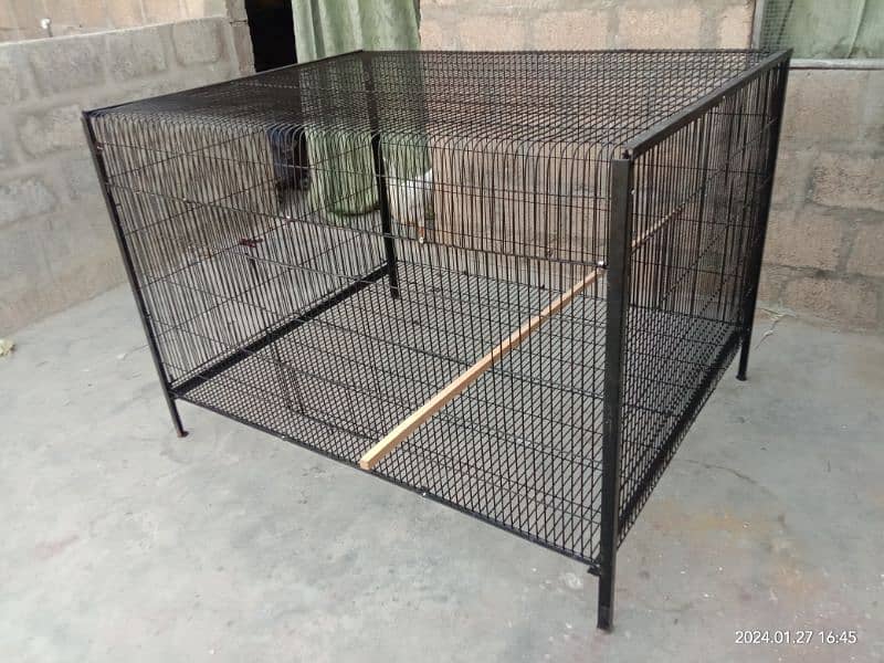 Cage Hen Folding galvanised 10 guage wire for 10 hens 2