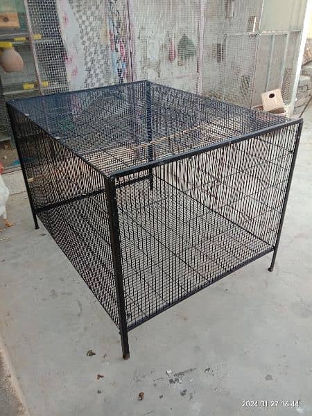 Cage Hen Folding galvanised 10 guage wire for 10 hens 3