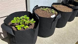 GARDEN GROW BAG - BAG - GROW BAG 0