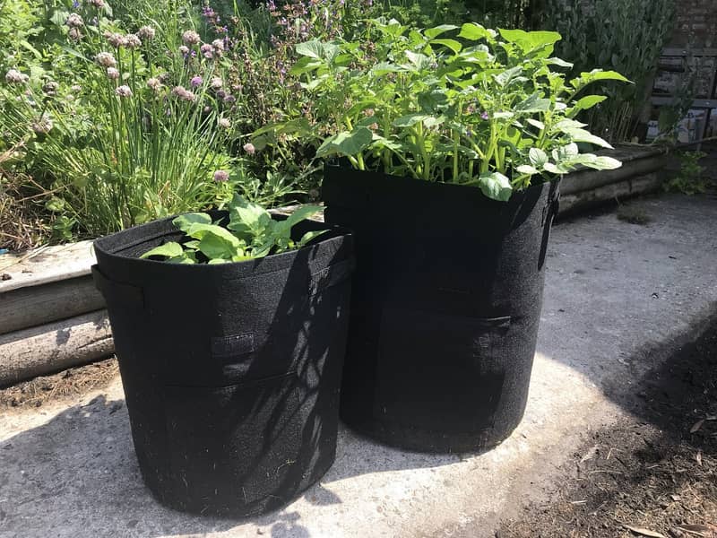 GARDEN GROW BAG - BAG - GROW BAG 4