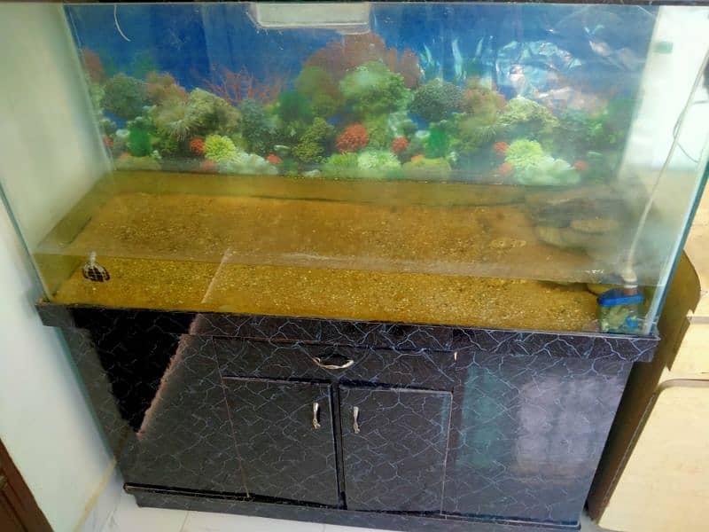 aquarium for sale 3