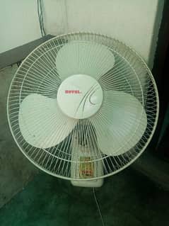 Fan