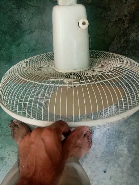 Fan for sale 3