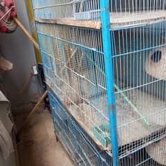 Parrot cage for sale