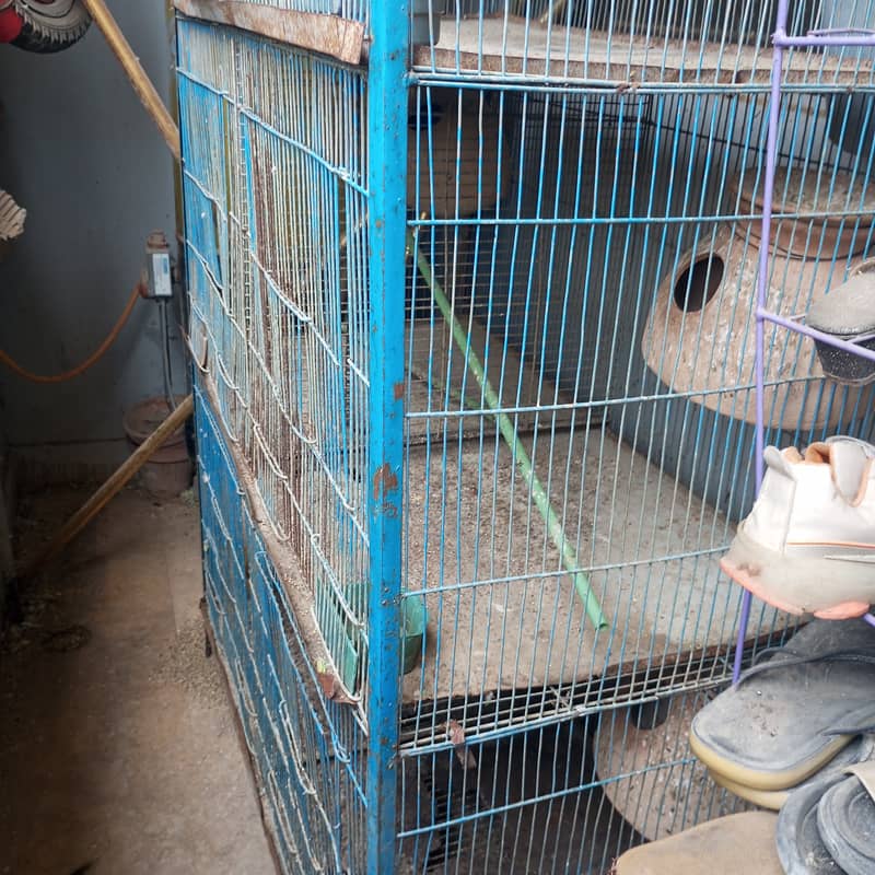 Parrot cage for sale 3