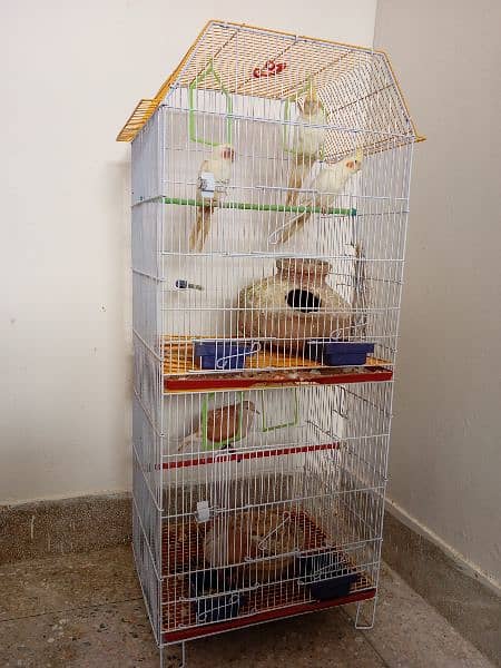 Bird Cage 1