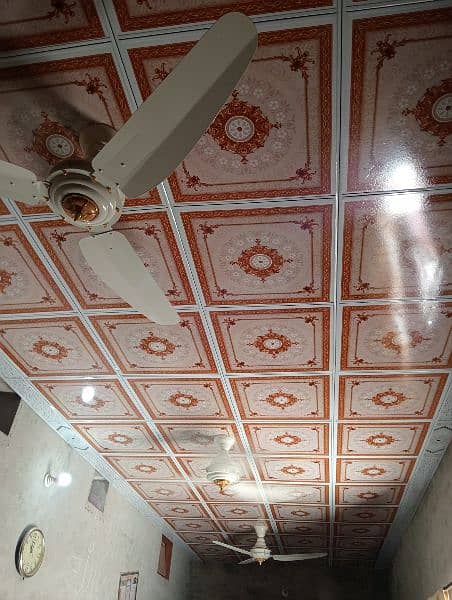 3D Ceiling Very beautiful 1