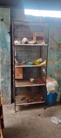 mukamal cage or cocktail for sale