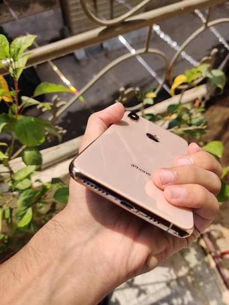 Apple iphone xs max golden 64gb jv non pta. iphone 12, iphone 11, xs, 2