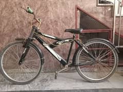 Bicycle for sale