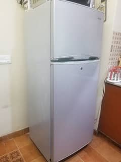 kam Paison main Haier Fridge and Refrigerator 03004403980