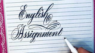 professional Handwriting assignment work