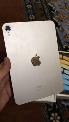 iPad mini 6 starlight color