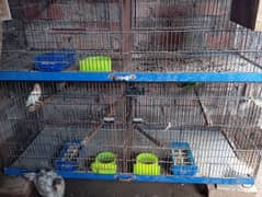 lovebirds folding cages