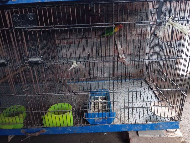 lovebirds folding cages 2